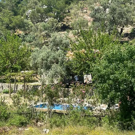 Togo Iztuzu Stonehouse-1 Bogazagzi